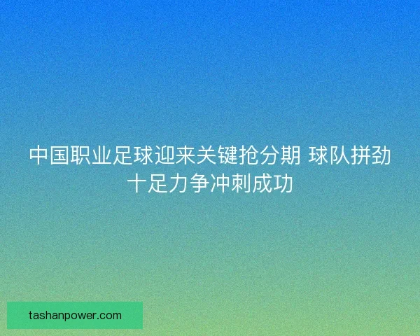 中国职业足球迎来关键抢分期 球队拼劲十足力争冲刺成功
