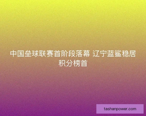 中国垒球联赛首阶段落幕 辽宁蓝鲨稳居积分榜首 中国垒球联赛首阶段落幕 辽宁蓝鲨稳居积分榜首